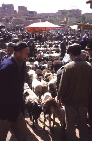 photo of China, Xinjiang province (East Turkistan), Kashi, Uygur traders are selling sheep and goats on the animal market of the Kashgar Sunday market