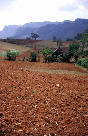 photo of Western Cuba, orange red soil of Cuban countryside around Pinar del Rio where a lot of tobacco is grown