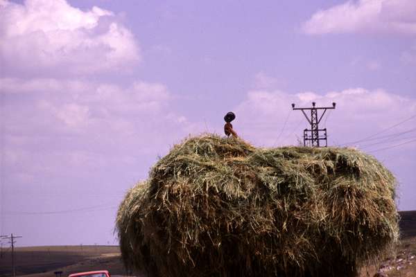 photo of Cuba, Cuban man waving with hat on top of hay truck