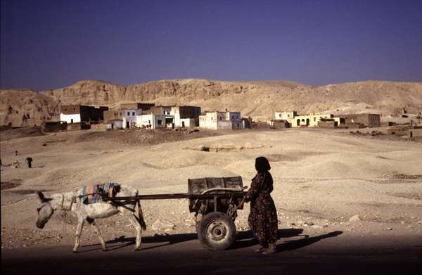 photo of Egypt, desert village around Luxor, woman transporting water barrel with donkey