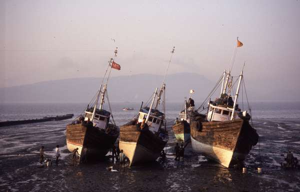 photo of India, around Bombay (Mumbai), fishing ships waiting for high tide on Elephanta Island