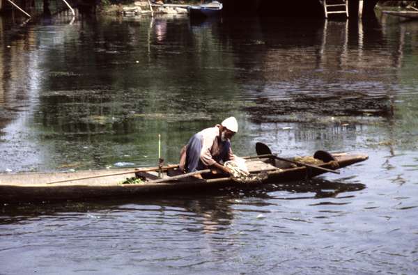 photo of India, Kashmir, Srinagar, old man in canoe in Lake Dal