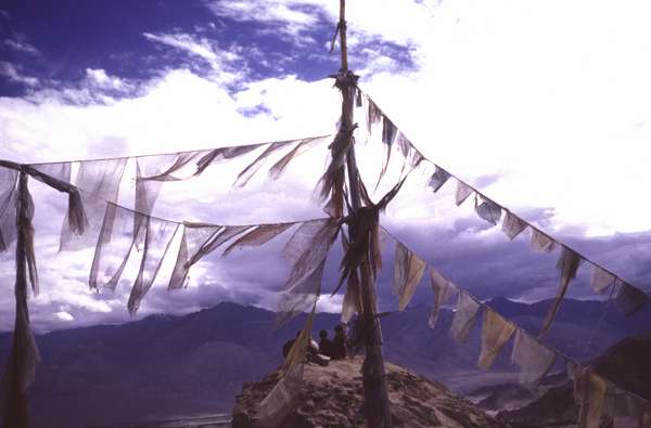 photo of India, Ladakh, buddhist prayer flags