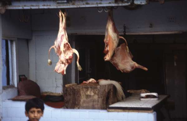 photo of India, Kashmir, Srinagar, butcher