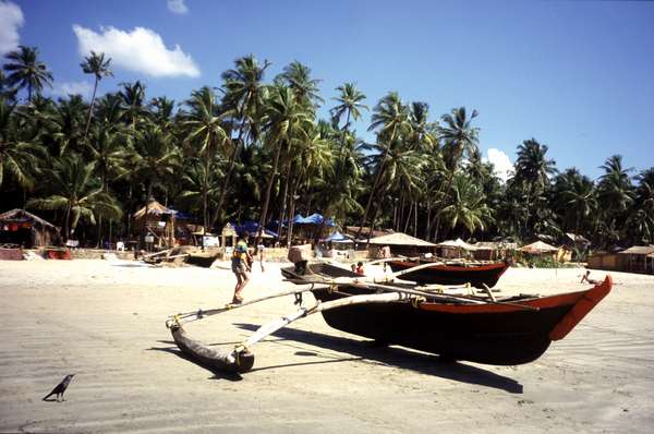 photo of India, Goa, boats and palm trees on Arambol beach