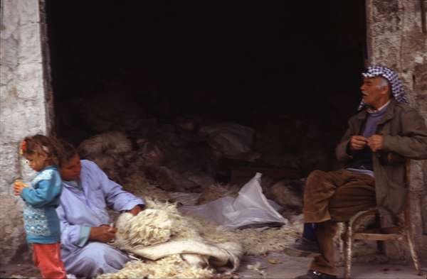 photo of Jordan, Kerak, Jordanian man and woman in wool shop