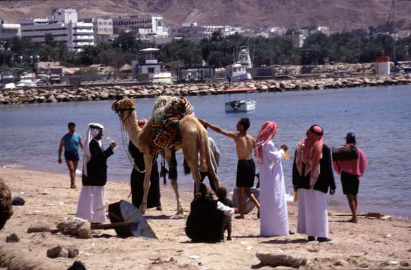 photo of Jordan, Red Sea, bedouins and a camel on the beach of Aqaba