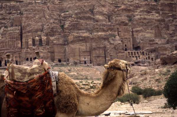 photo of Jordan, Petra, camel and Nabataean tombs and temples carved out of the rocks
