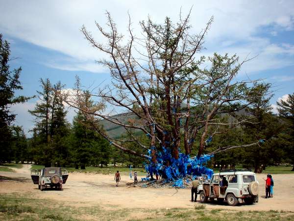 photo of Mongolia, road to white lake, holy shaman tree with blue prayer flags