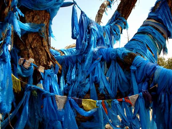 photo of Mongolia, blue cloths left as offerings at the foot of a holy shaman tree