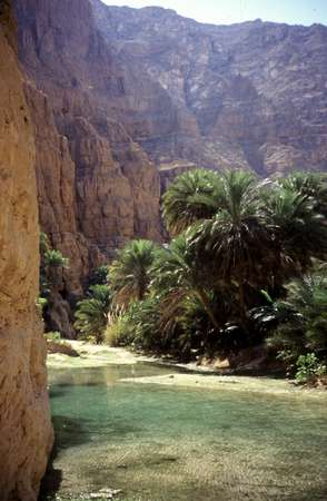 Tiwi Oman