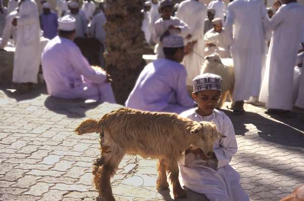 photo of Oman, Cattle and Animal market in Nizwa, Omani boy with a goat wearing a traditional white Arabic dress, the dishdasha (thobe) and an embroidered skull cap called a kumma