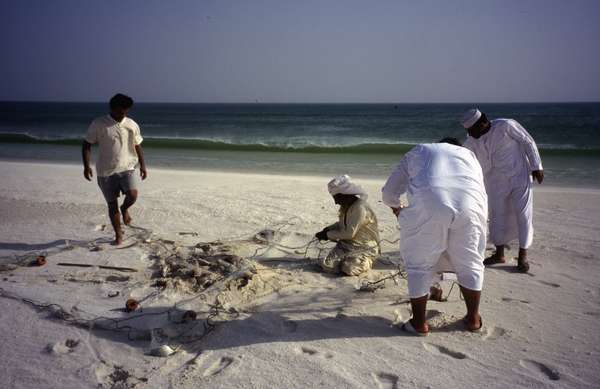 photo of Oman, along the Arabian sea (Indian ocean), Omanis and bedouin fisherman emptying fishing nets on the beach. He had buried his fish in the wet sand to conserve it