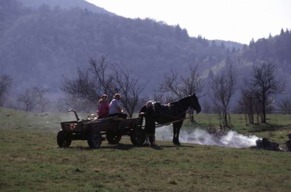 photo of Romania, Carpathians, around Sibiel, farmers with horse carriage in the Romanian countryside