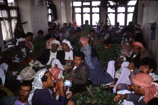 photo of Northern Yemen highlands, tiny village in the Hajar mountains, chewing huge amounts of qat (khat, kat) during a wedding celebration