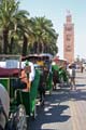 marrakech-horse-carriages-6438