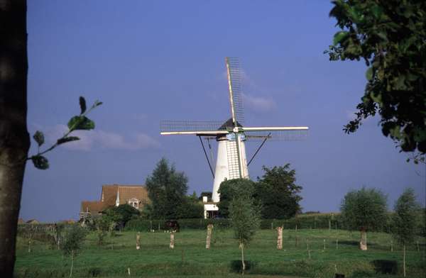 photo of Belgium, Flemish countryside, around Gent (Ghent), fields with cows and wind mill